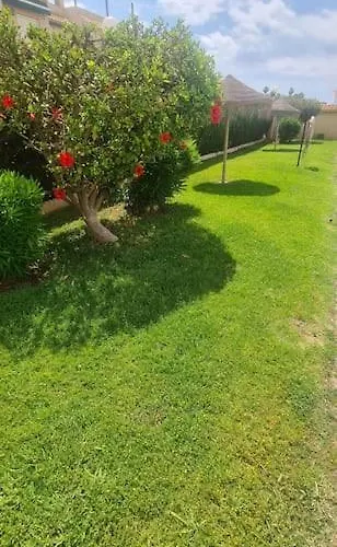 Сasa de vacaciones Avec Piscine Torrevieja