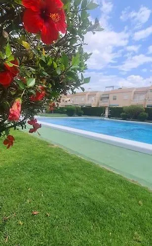 Avec Piscine * Torrevieja